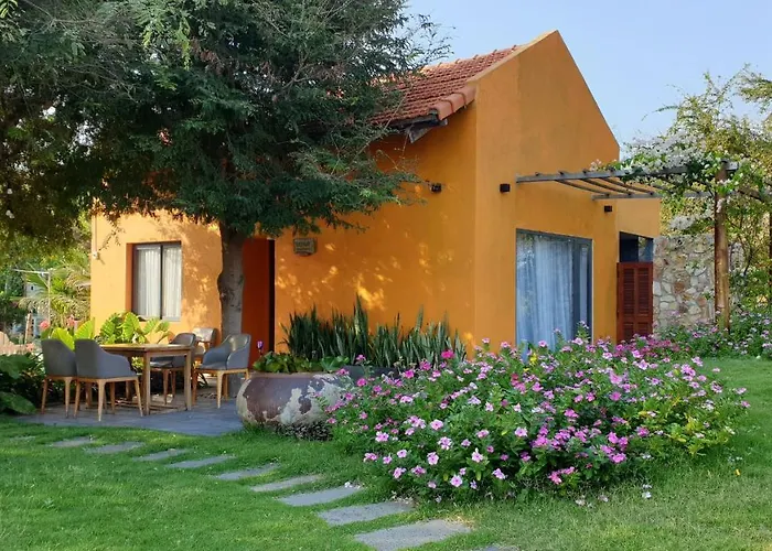 Nhà nghỉ Lotus House *