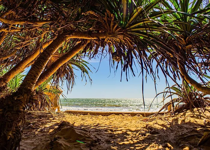 Nhà nghỉ Lotus House Phan Thiết